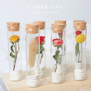 Give You A Small Flower A Glass Test Tube Dried Flower Bouquet An Eternal Wish Bottle Specimen and A Graduation or Birthday Gift