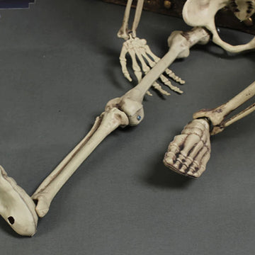 Halloween Horror Skeleton Statue Movable/Posable Joints Scary Skull Ornament Festival Theme for Yard Garden Patio Haunted House