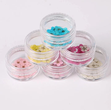 100pcs Pressed Dried Narcissus Plum Blossom Flower With Box For Epoxy Resin Jewelry Making Nail Art Craft DIY