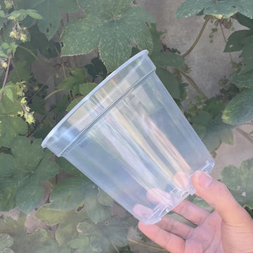 5Pcs Home Garden Transparent Planter Pot 4/5/6/7/8/9Inch Round Orchid Nursery Pots Orchid Container Starting Pot