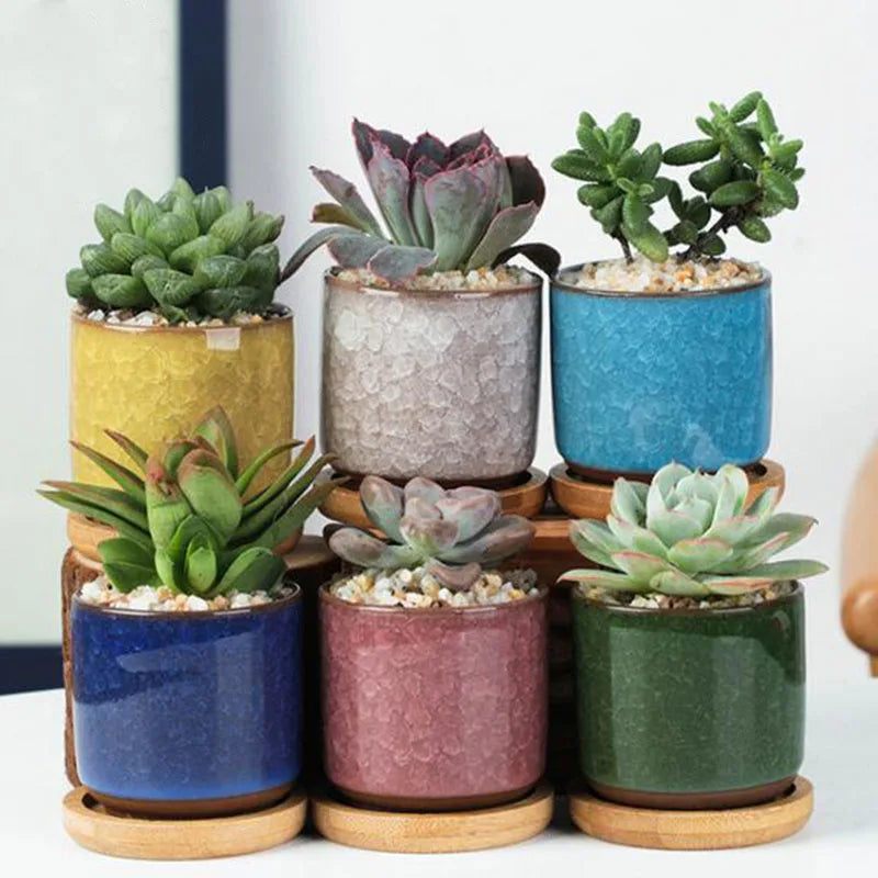 6pcs/set Ceramic Flowerpot Set Mini Thumb Succulent Plant Pot Planter Owl Animal Vase Garden Home Decor Safe Package