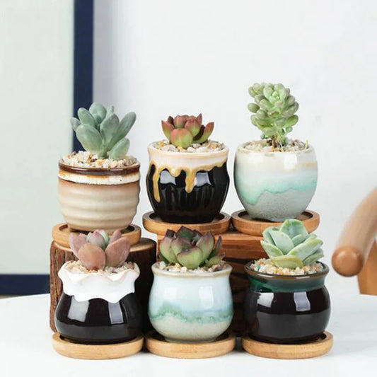 6pcs/set Ceramic Flowerpot Set Mini Thumb Succulent Plant Pot Planter Owl Animal Vase Garden Home Decor Safe Package