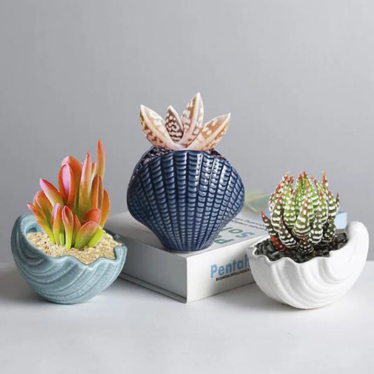 Nordic Style Ceramic Succulent Plant Pot Shell Green Plant Pot Bonsai Vase Desktop Ornaments Gardening Planter Home Decor