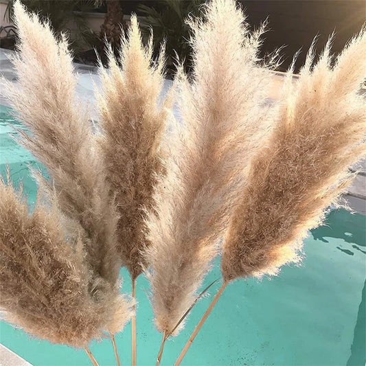 8pcs South American Reeds Bouquet Natural Dried Flower Decoration Wedding Decoration Arch Artificial Flower Wedding Decoration