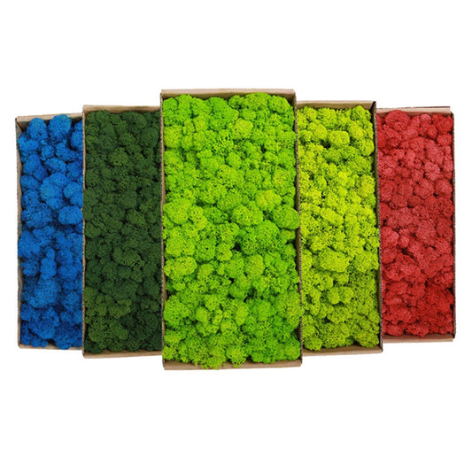 500g/1000g Mini Landscape Fake Grass Eternal Life Moss Grass Artificial Green Plants Home Garden Decoration DIY Crafts
