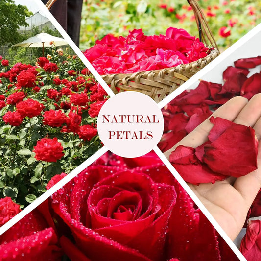 Dried Rose Petals - Real organic dried rose petals for rose bath spa, soap making, wedding confetti resin, DIY craft accessories