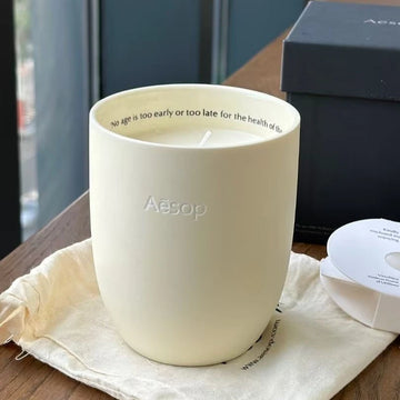 Woody Ptolemy Scented Candle Natural Cedar Cypress Trees Ceramic Cup Relax Aromatherapy Candles Home Decoration Luxury Gift