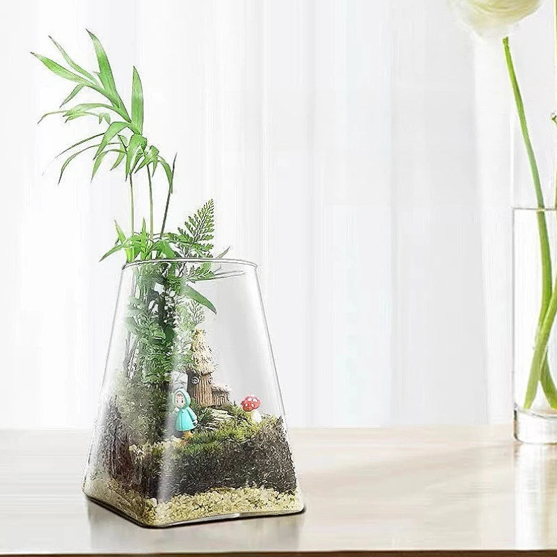 Transparent Glass Vase for Home Decor Micro Landscape Ecological Hydroponic Bryophyte Moss Plant Landscaping Glass Container