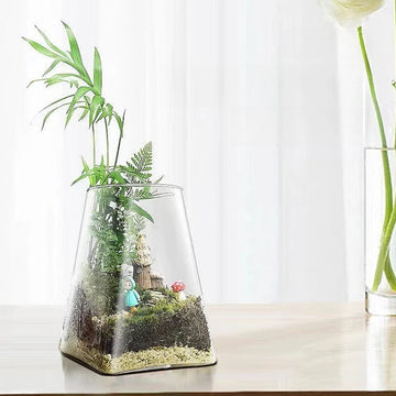 Transparent Glass Vase for Home Decor Micro Landscape Ecological Hydroponic Bryophyte Moss Plant Landscaping Glass Container