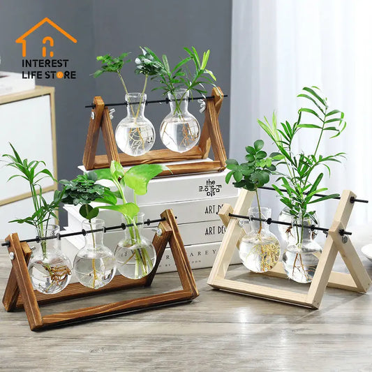 Creative Wooden Frame Hydroponic Vase Hydroponic Plant Terrarium Vasevase Decoration Home Glass Bottle Hydroponic Home Decora