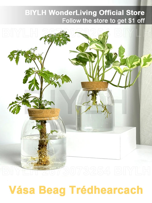 Nordic Style Glass Vase Home Decoration Hydroponic Vases Transparent Tabletop Flower Decor Ornament Hydroponic Plant Bottle Cork