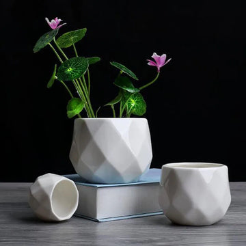European Simplicity Style White Porcelain Polyhedron Flower Pot Household Balcony Decorated Succulent Plant Pot Home Decor