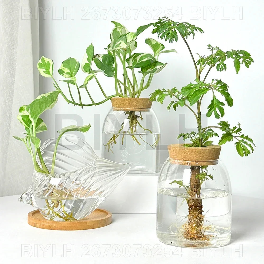 Nordic Style Glass Vase Home Decoration Hydroponic Vases Transparent Tabletop Flower Decor Ornament Hydroponic Plant Bottle Cork