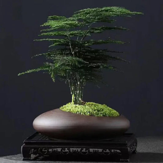 Retro Purple Clay Plant Pot Chinese Style Orchid Asparagus Viridis Flower Pot Breathable Vase Desktop Ornaments Garden Decor