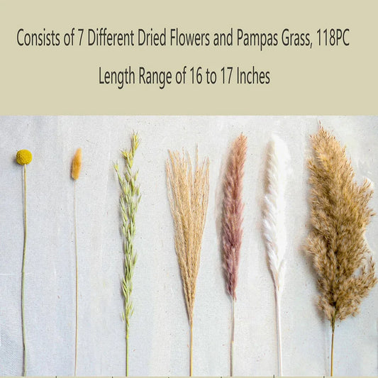 Natural Pampas Decoration 100 Pieces Natural Dried Flowers Rabbit Tail Bouquet for Wedding Table Living Room Vase Boho Home Deco