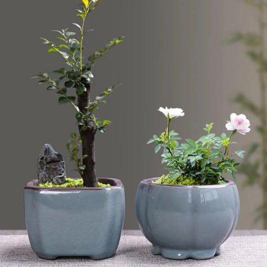 Retro Ceramic Flower Pot Asparagus Succulent Plant Pot Breathable Vase Bonsai Container Home Garden Balcony Decor