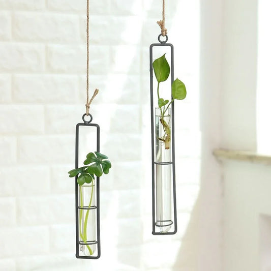 Iron Glass Vase Hemp Rope Pendant Living Room Wall Hanging Hydroponic Green Ivy Plant Container Hanging Wall Decoration