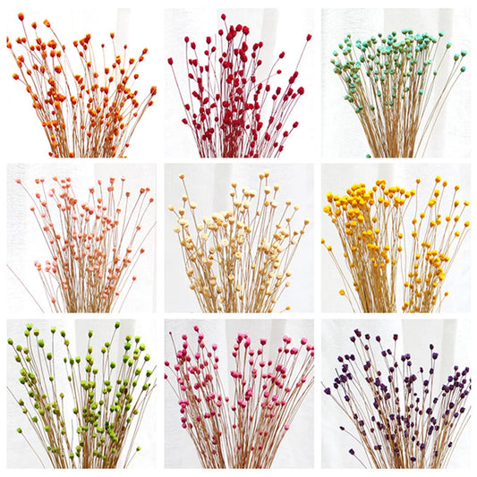 250Pcs Real Dry Flower Natural Dried Flowers Decorative Photography Home Decor Photo Backdrop Decor Dried Flower Bouquet