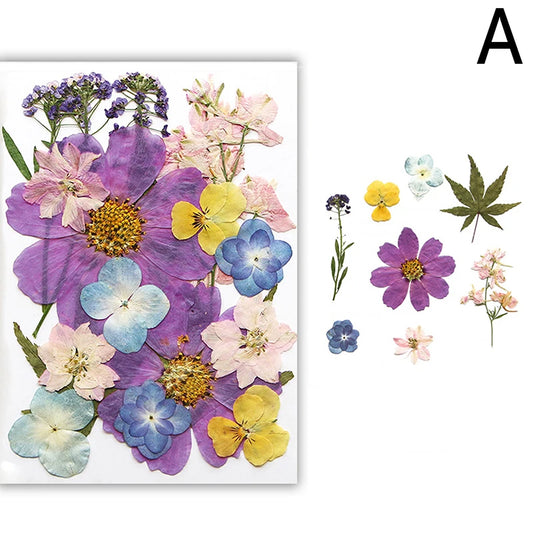 Dried Flower Set Pressed Real Natural Flowers Leaves for Resin Jewelry Mold Filling Phone Case Making Decoration Dehydrated Home