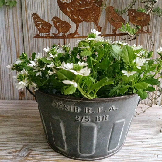 Vintage Metal Round Planting Retro Planter Pot Double Handles Flower Bucket for Storage and Farmhouse Decor