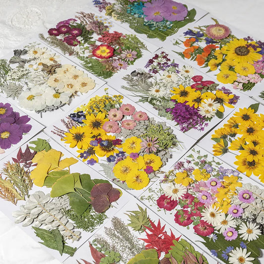 50-110PCS Dried Flowers Embossing Material Pack Nail Art Decoration Natural Pressed Flower Leaves DIY Scrapbooks Craft