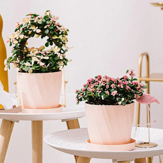 INS Style Nordic Simple Imitation Ceramic Flower Pot Plastic Succulent Flowerpot Modern Small Gallon Planter Home Decoration