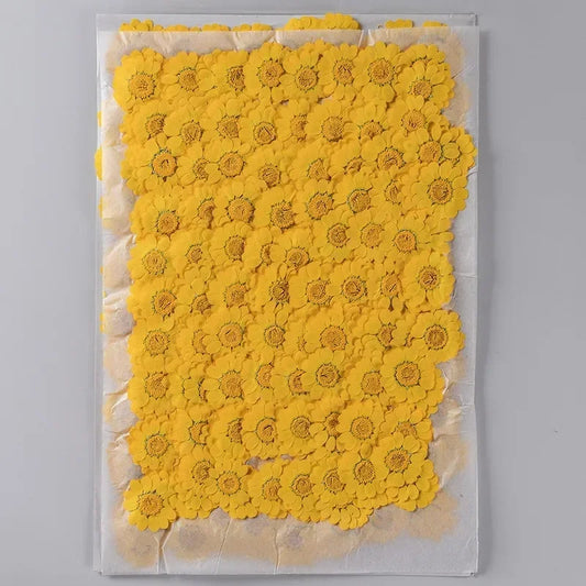 100PCS Set Yellow Dried Flowers 2.5-3cm Natural Real Pressed Flowers for DIY Resin Mold Fillings Bookmark Making Nail Art Decor