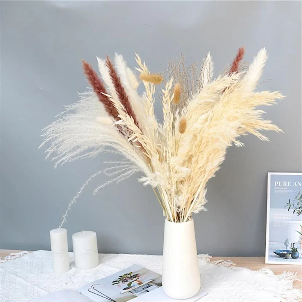 Decoration with Dried Pampas Grass Fluffy Natural Tall Pampas Set Small Reeds Dried Flowers Bohemian Home Ramadan Decoration