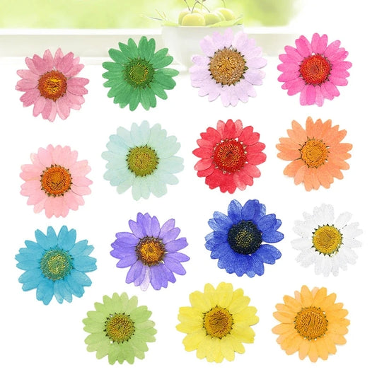 120pcsPressed Press Dried Daisy Dry Flower Plants For Epoxy Resin Pendant Necklace Jewelry Making Craft DIY Accessories