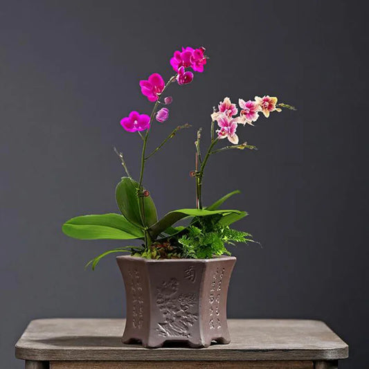 Retro Purple Clay Dragon Pattern Flowerpot Coarse Pottery Flower Pot Plant Vase Ceramic Crafts Home Garden Decor