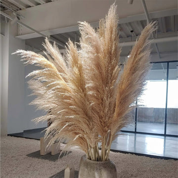 8pcs South American Reeds Bouquet Natural Dried Flower Decoration Wedding Decoration Arch Artificial Flower Wedding Decoration