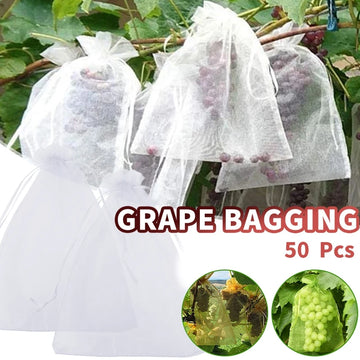 50Pcs Fruit Protection Bag Pest Contro Plants Anti-Bird Mesh Bags Grow Gardening Strawberry Grape Drawstring Bags Mesh Pouch