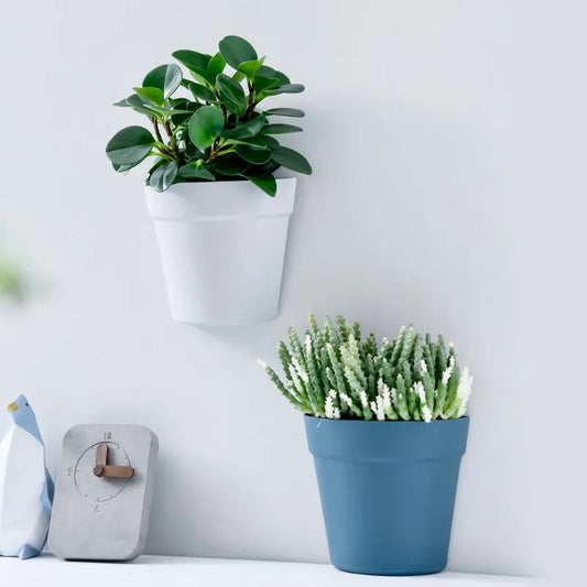 Semi circular wall mounted flower pot, creative balcony, indoor wall non perforated hydroponic flower pot, plastic potted plant