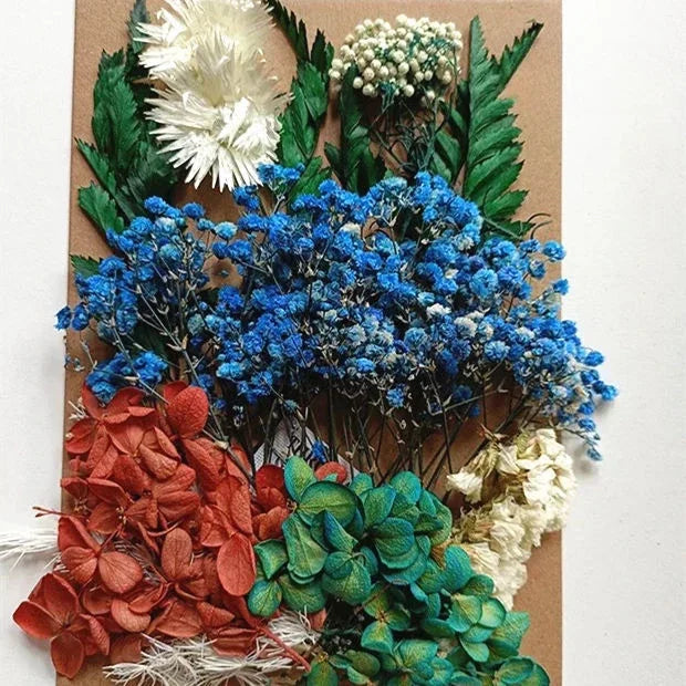 High quality natural dried flower DIY material bag for children's handmade eternal flower material photo frame material bag