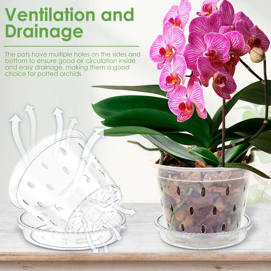 4/5/6 Inch Flower Plant Pot Clear Orchid Pot with Holes and Saucers Sturdy Plastic Slotted Nursery Pots Gardening Accessories
