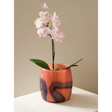 New Year Red Purple Marbled Large Mouth Butterfly Orchid Glass Vase Desktop Decor Home Soft Furnishing