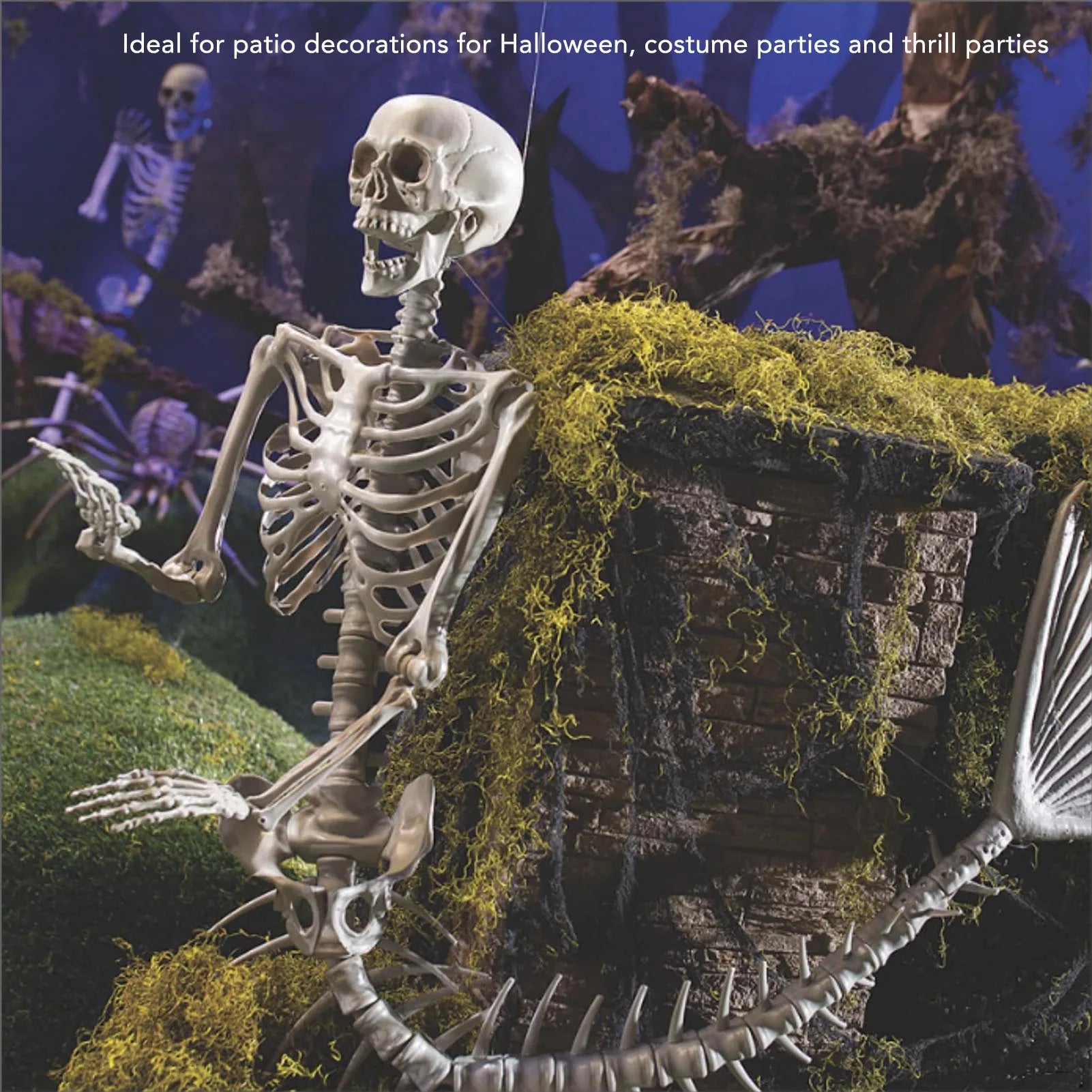 Halloween Skeleton  Movable Joints Skeleton  Decorations Life Size Eye Catching for Costume Party