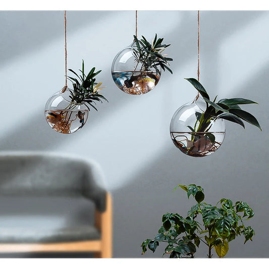Glasseam Hanging Planters Glass Terrarium: Modern Plant Propagation Stations Hydroponic Wall Vases for Air Plants Flowers I