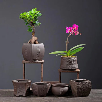 Retro Purple Clay Dragon Pattern Flowerpot Coarse Pottery Flower Pot Plant Vase Ceramic Crafts Home Garden Decor