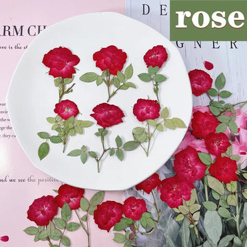 60pc Pressed Press Dried Rose Dry Flower Plants For Epoxy Resin Pendant Necklace Jewelry Making Craft DIY Accessories Phone Case