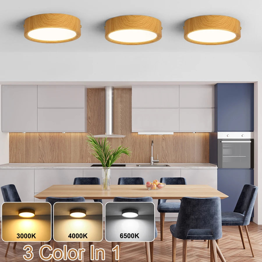 Led Downlight 3 Color Spot Led Light Surface Mounted LED Ceiling Lamp With Memory Spotlight Indoor for Kitchen Living Room Home