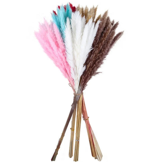 Decoration with Dried Pampas Grass Fluffy Natural Tall Pampas Set Small Reeds Dried Flowers Bohemian Home Ramadan Decoration