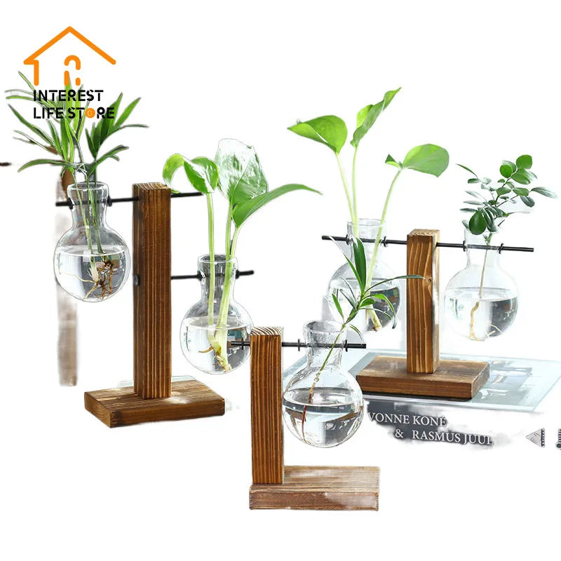 Creative Wooden Frame Hydroponic Vase Hydroponic Plant Terrarium Vasevase Decoration Home Glass Bottle Hydroponic Home Decora