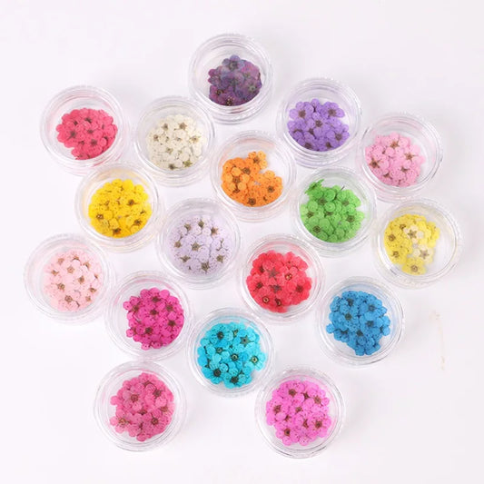 Don't miss it! 100pcs pressed dried daffodils and plum blossoms with box, great accessories for epoxy resin jewelry and nail art