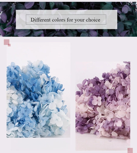 Color-changing Immortal flowers,mixed-color hydrangea dried flowers,home decorations ,Festival and party decoration,Artificial