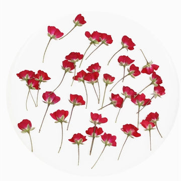 60pcs Pressed Press Dried Rose Dry Flower Plants For Epoxy Resin Pendant Necklace Jewelry Making Craft DIY Accessories