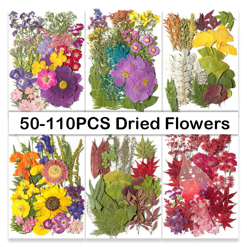 50-110PCS Dried Flowers Embossing Material Pack Nail Art Decoration Natural Pressed Flower Leaves DIY Scrapbooks Craft
