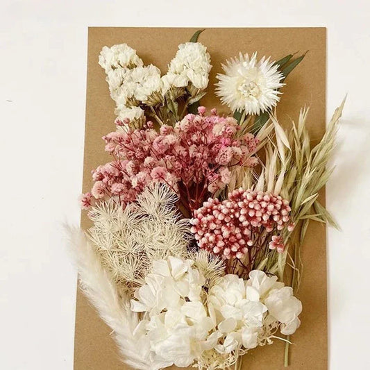 High quality natural dried flower DIY material bag for children's handmade eternal flower material photo frame material bag