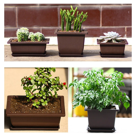 Rectangular Flowerpots Imitation Purple Clay Bonsai Pots Garden Landscape Succulent Plants Pots Garden Yard Planter Pot Trays