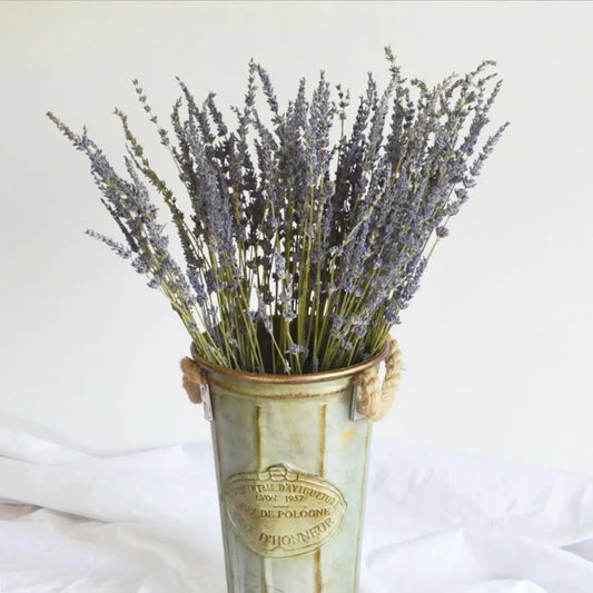 1/3/5PCS Lavender Dried flower Natural Flower Bouquet Preserved Flower Bouquet Suitable For Home Crafts Gift Wedding DIY Decor